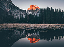 开云官网APP：开启无缝体验的数字生活新入口